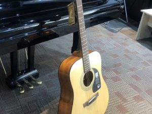 Đàn guitar acoustic Epihope DR 100 NA