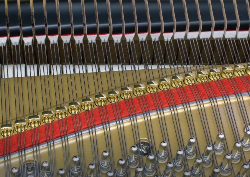 Grand Piano Kawai KG5 - Ảnh 2