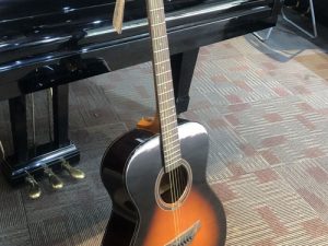 Đàn guitar acoustic Skylark MAG660 CN