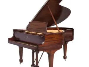 Grand Piano Steinway & Sons SAP6618