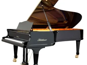 Grand Piano Bluthner SAP5114