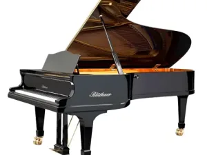 Grand Piano Bluthner SAP5114