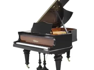 Grand Piano Bluthner SAP5619