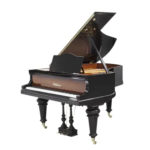 Grand Piano Bluthner SAP5619