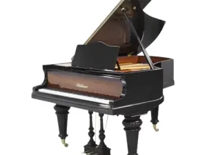 Grand Piano Bluthner SAP5619