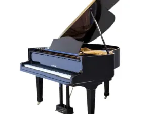 Grand Piano Bluthner SAP5867