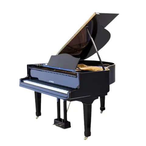 Grand Piano Bluthner SAP5867