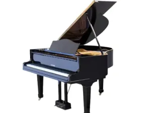 Grand Piano Bluthner SAP5867