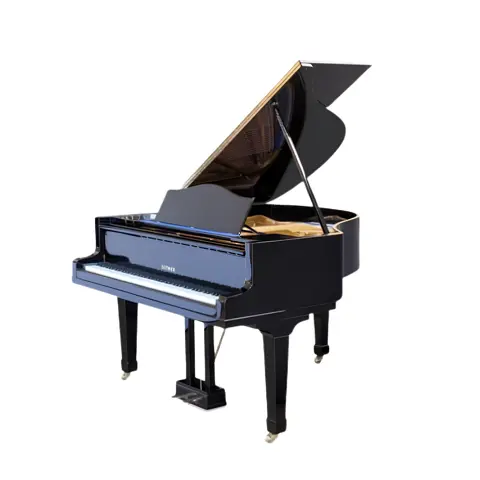 Grand Piano Bluthner SAP5867