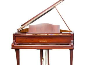 Grand Piano Bluthner Twins