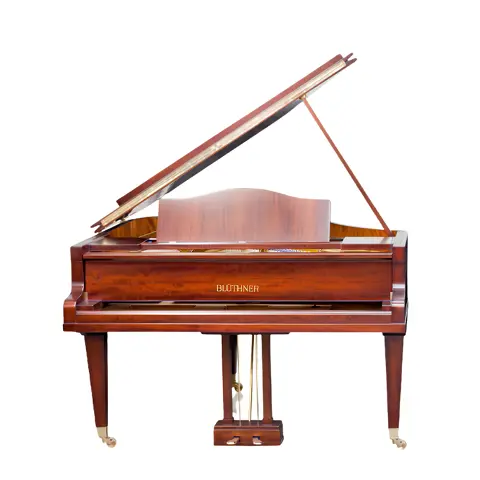 Grand Piano Bluthner Twins