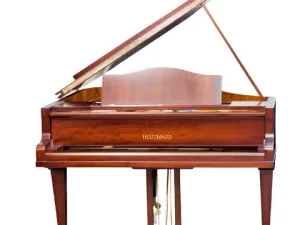Grand Piano Bluthner Twins