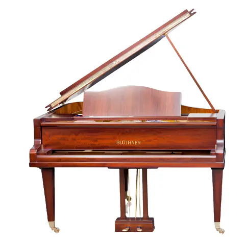 Grand Piano Bluthner Twins