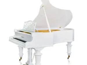 Grand Piano C.Bechstein SAP5838