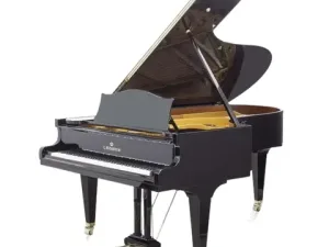Grand Piano C.Bechstein SAP5874