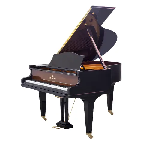 Grand Piano C.Bechstein SAP5944