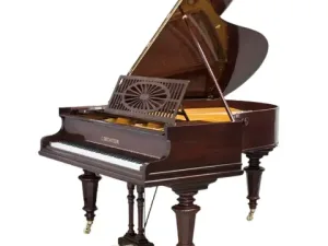 Grand Piano C.Bechstein SAP6606