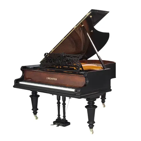 Grand Piano C.Bechstein SAP6710