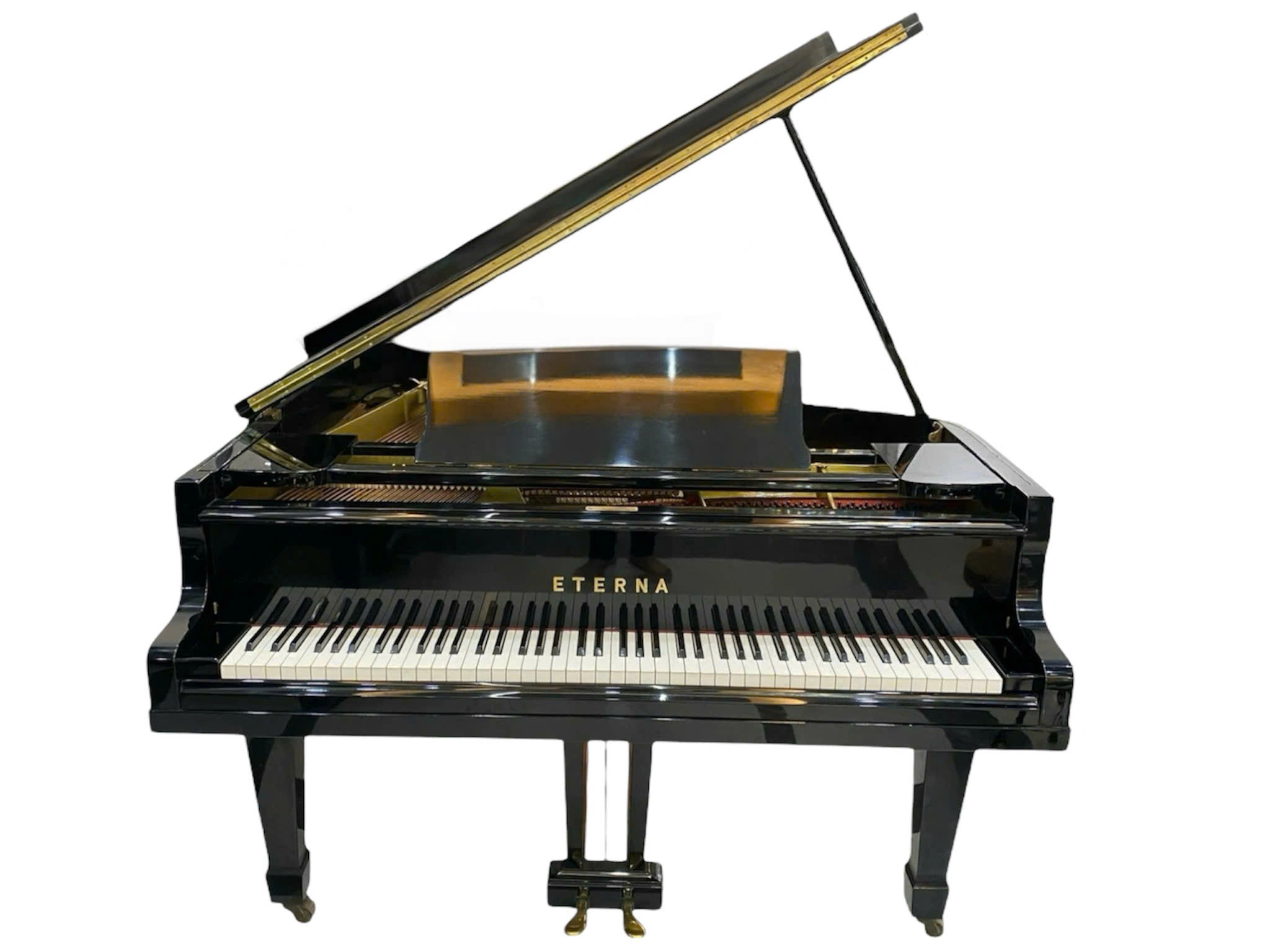 Grand Piano Eterna G2 - Ảnh 2