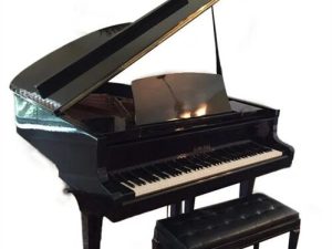 Alternative view of Grand Piano Horugel