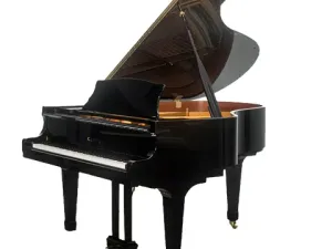 Grand Piano Kawai RX2