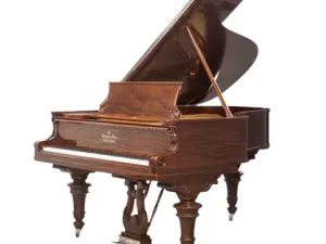 Grand Piano Steinway & Sons SAP10245