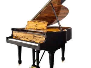Grand Piano Steinway & Sons SAP10246