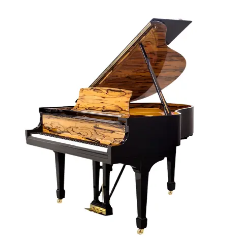 Grand Piano Steinway & Sons SAP10246