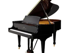 Grand Piano Steinway & Sons SAP10463