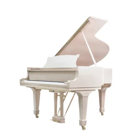 Grand Piano Steinway & Sons SAP5987