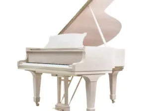Grand Piano Steinway & Sons SAP5987