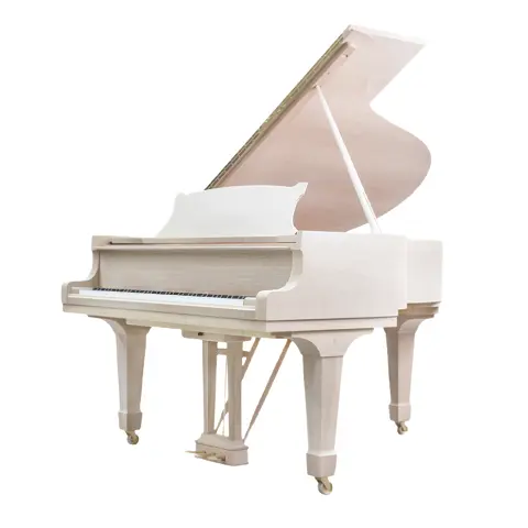 Grand Piano Steinway & Sons SAP5987