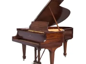 Grand Piano Steinway & Sons SAP6618
