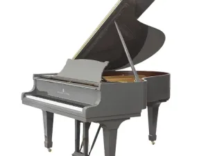 Grand Piano Steinway & Sons SAP6889
