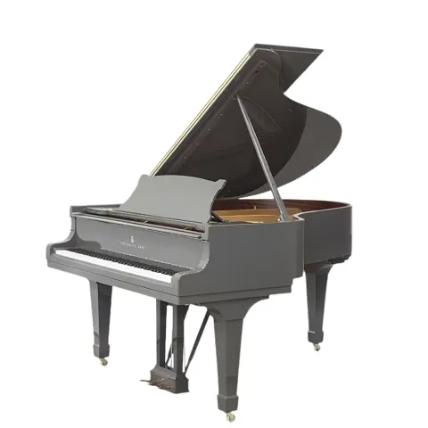 Grand Piano Steinway & Sons SAP6889