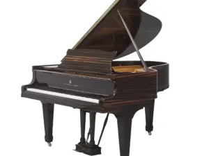 Grand Piano Steinway & Sons SAP7072