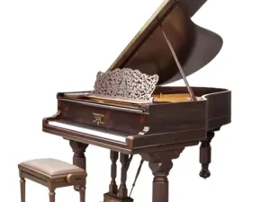 Grand Piano Steinway & Sons SAP7810