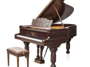 Grand Piano Steinway & Sons SAP7810