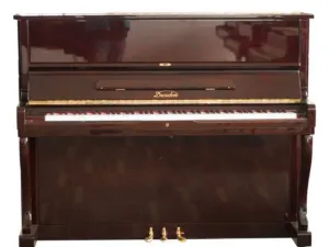 PIANO DRESDEN D810