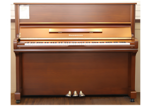 PIANO ROSENSTOCK