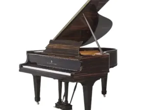 Grand Piano Steinway & Sons SAP7072