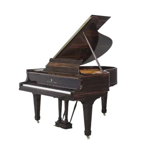 Grand Piano Steinway & Sons SAP7072