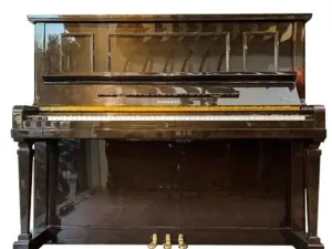 Piano Diapason 132SW