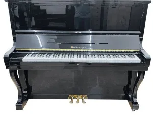 Piano Steinmeyer SK31