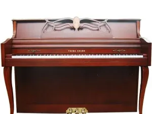 Piano Young Chang BDW-110NF