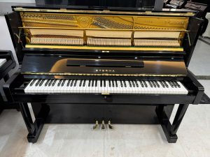 Alternative view of Piano Eterna 35