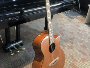 Đàn guitar acoustic DOTCH