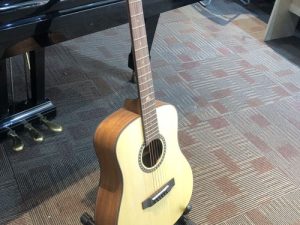 Đàn guitar acoustic Kriens TE