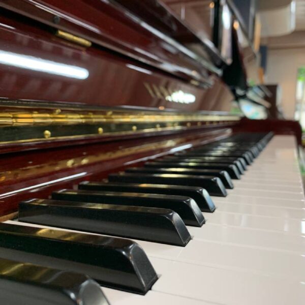 Piano Yamaha U30BiC - Ảnh 2