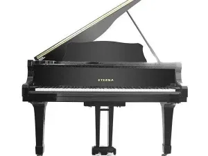 Grand Piano Eterna G2